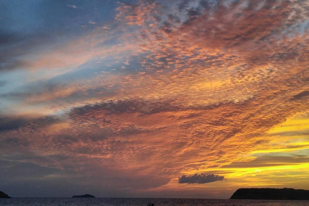 Beachfront Dubrovnik Villa 外观 照片